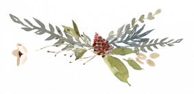 IMG_87A2B3480408-1-removebg-preview